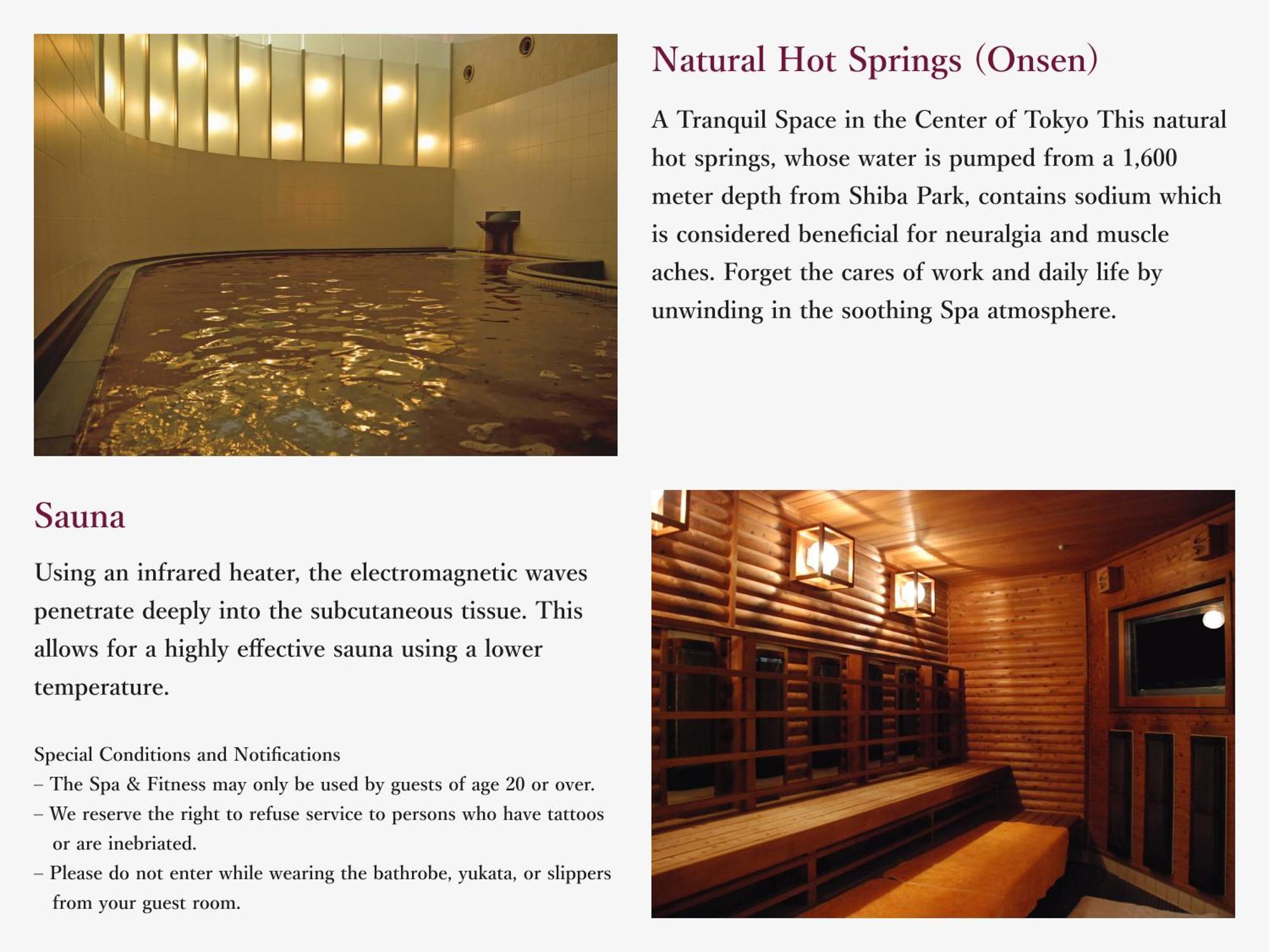 Hotell The Park Tower - Preferred & Resorts, Lvx Collection